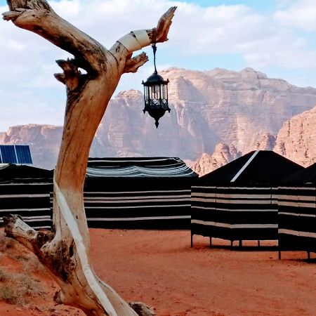 Desert Tree Camp&Tours وادي رم المظهر الخارجي الصورة