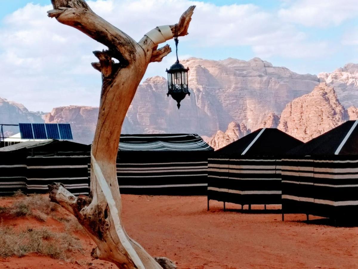 Desert Tree Camp&Tours وادي رم المظهر الخارجي الصورة