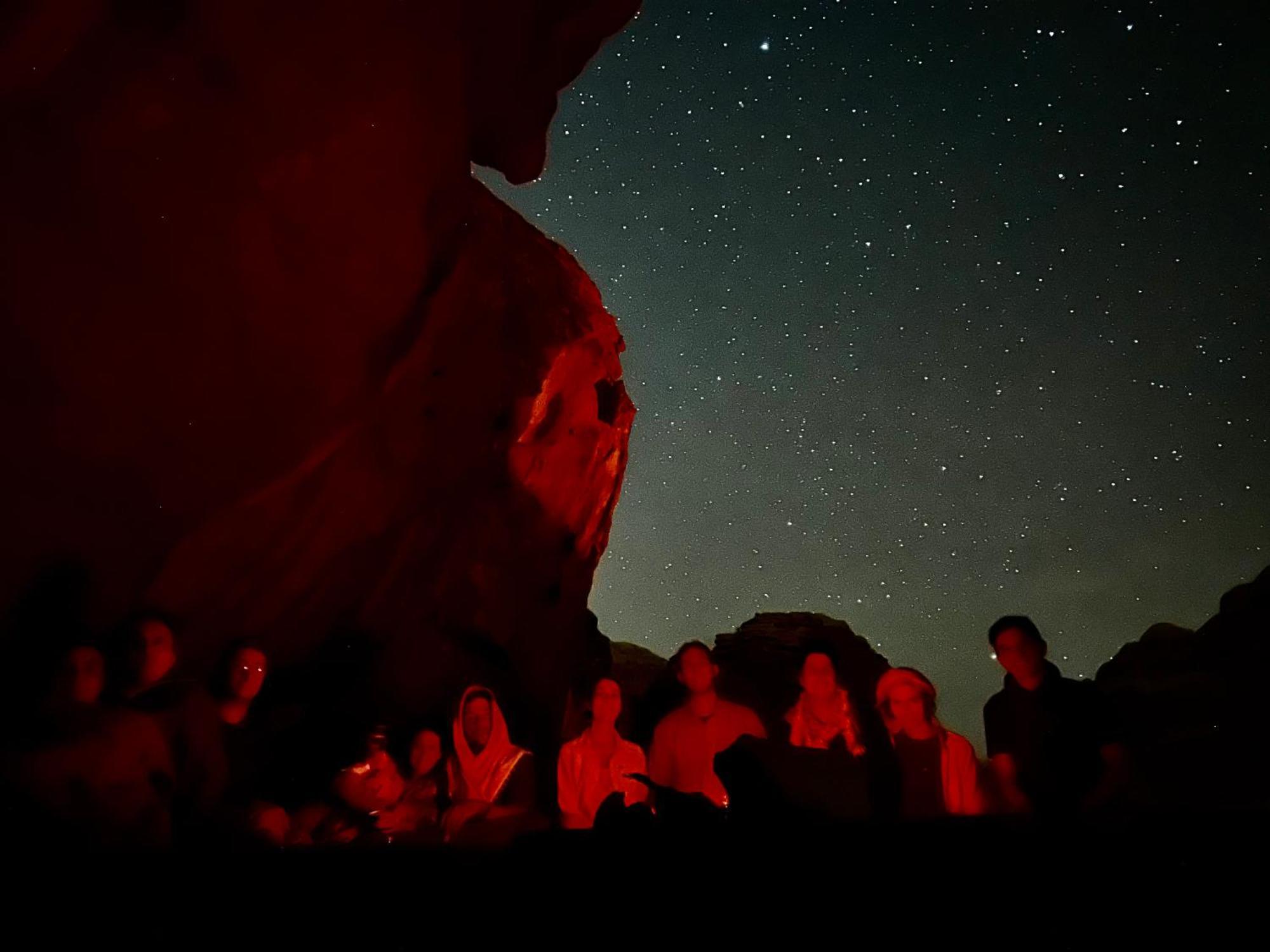 Desert Tree Camp&Tours وادي رم المظهر الخارجي الصورة