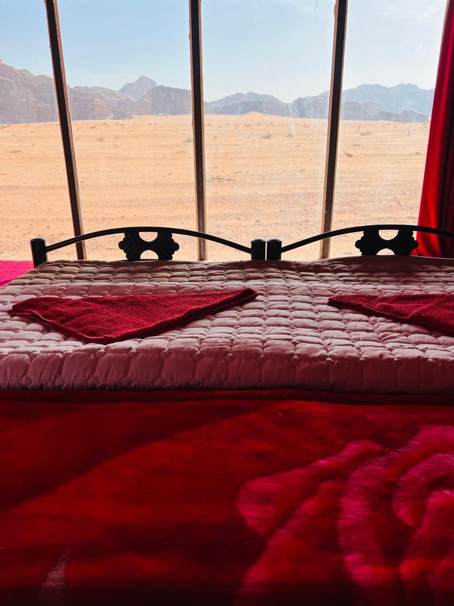 Desert Tree Camp&Tours وادي رم المظهر الخارجي الصورة